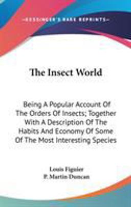 The Insect World