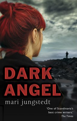 Dark Angel  9780552159968 Front Cover