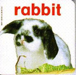 The Rabbit