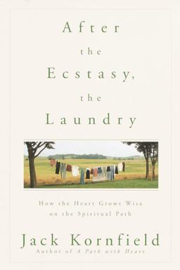 After the Ecstasy, the Laundry