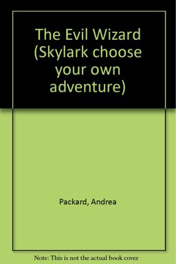 The Evil Wizard