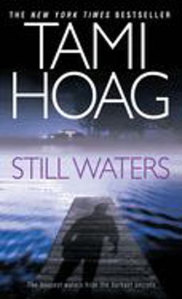 Still Waters A Novel  9780553292725 Front Cover