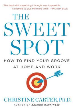 Sweet Spot How to Find Your Groove at Home and at Work  9780553392043 Front Cover