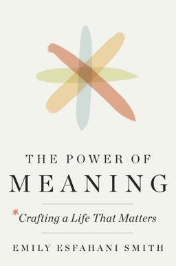 Power of Meaning Crafting a Life That Matters  9780553419993 Front Cover