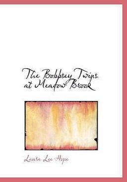 The Bobbsey Twins at Meadow Brook