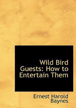 Wild Bird Guests Wild Bird Guests