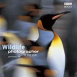 WILDLIFE PHOTOGRAPHER OF THE YEAR