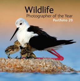 Wildlife Photographer of the Year Portfolio 20  9780565092771 Front Cover