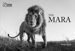 Mara  9780565093945 Front Cover