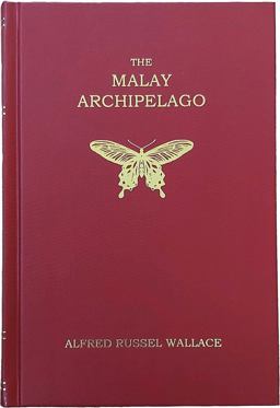 The Malay Archipelago The Malay Archipelago