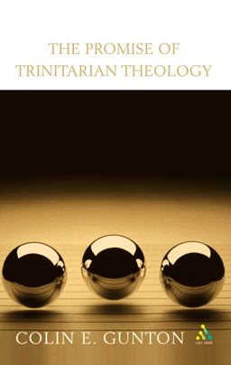 Promise of Trinitarian Theology  9780567081001 Front Cover
