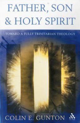Father, Son and Holy Spirit: Toward a Fully Trinitarian Theology Toward a Fully Trinitarian Theology  9780567089717 Front Cover