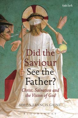 Did the Saviour See the Father? Christ, Salvation, and the Vision of God  9780567682130 Front Cover