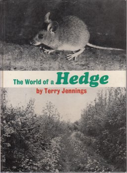 The World of a Hedge
