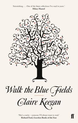 Walk the Blue Fields  9780571233076 Front Cover
