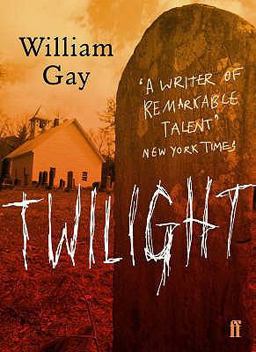 Twilight  9780571235612 Front Cover