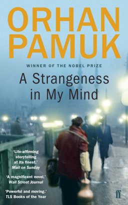 Strangeness in My Mind  9780571275991 Front Cover