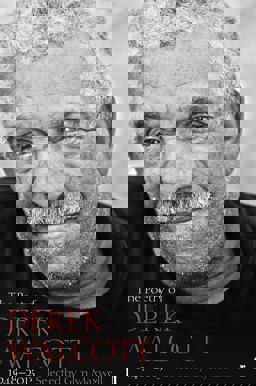 Poetry of Derek Walcott 1948-2013  9780571313808 Front Cover