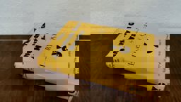 The American Gun Mystery The American Gun Mystery