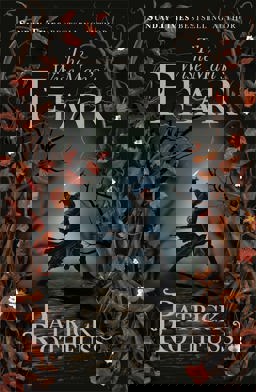 Wise Man's Fear The Kingkiller Chronicle: Book 2  9780575081437 Front Cover