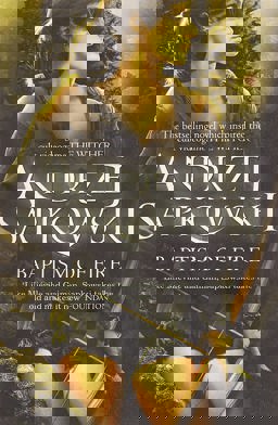 Baptism of Fire Witcher 3 Now a Major Netflix Show  9780575090972 Front Cover