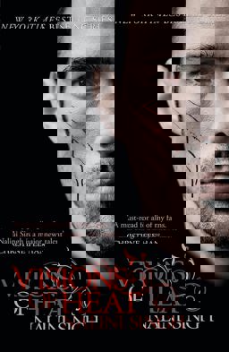 Visions of Heat Your Next Paranormal Romance Obsession  9780575095687 Front Cover