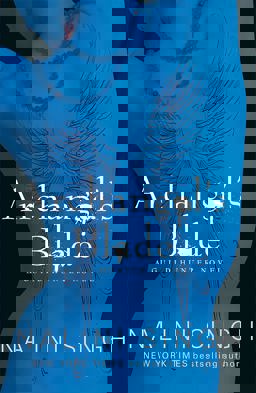 Archangel's Blade Book 4  9780575113473 Front Cover