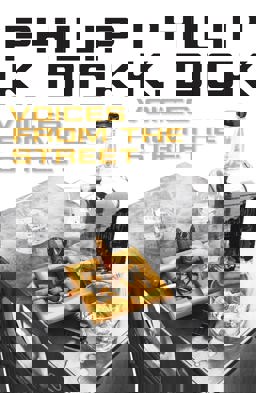 Voices from the Street