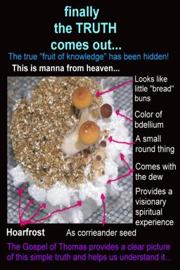 Finally the Truth Comes Out