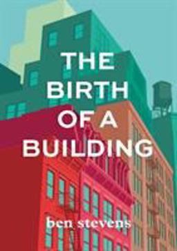 Birth of a Building From Conception to Delivery  9780578553658 Front Cover