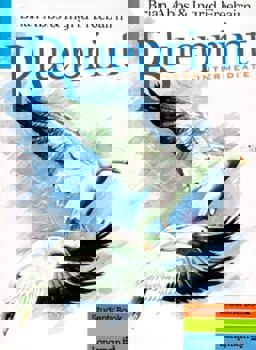 Blueprint Intermediate