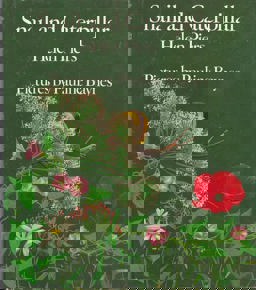 Snail and Caterpillar