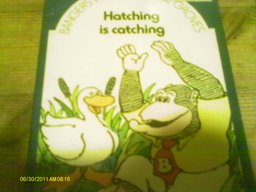 Hatching Is Catching Hatching Is Catching