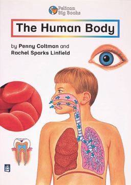 Human Body