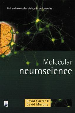 Molecular Neuroscience