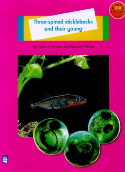 Three-Spined Sticklebacks and Their Young