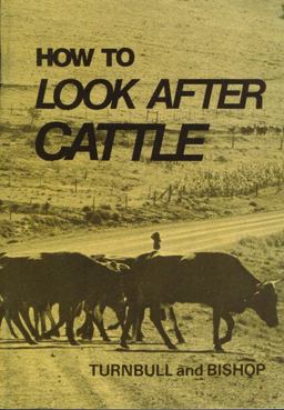 How to Look after Cattle