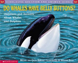 Do Whales Have Belly Buttons?