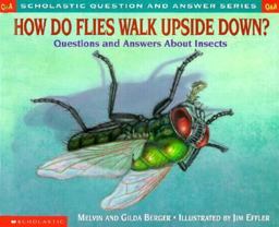 How Do Flies Walk Upside Down?