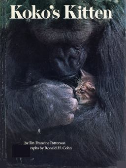 Koko's Kitten  9780590338110 Front Cover