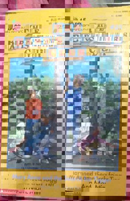 Mary Anne and the Search for Tigger