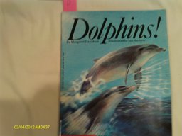 Dolphins Dolphins