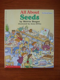 All about Seeds