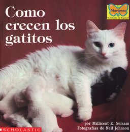Como Crencen los Gatitos
