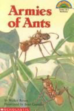 Armies of Ants  9780590476164 Front Cover