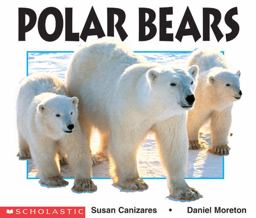 Polar Bears