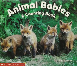 Animal Babies