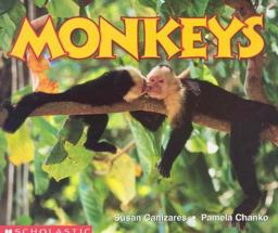 Monkeys
