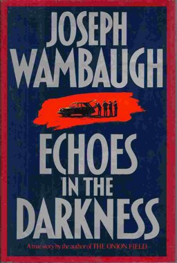 Echoes in the Darkness