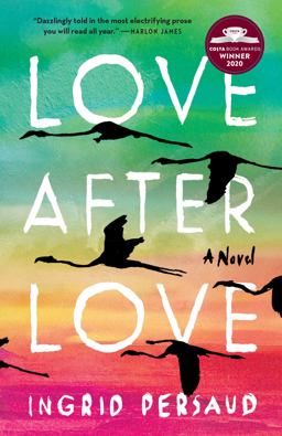 Love after Love A Novel  9780593157589 Front Cover